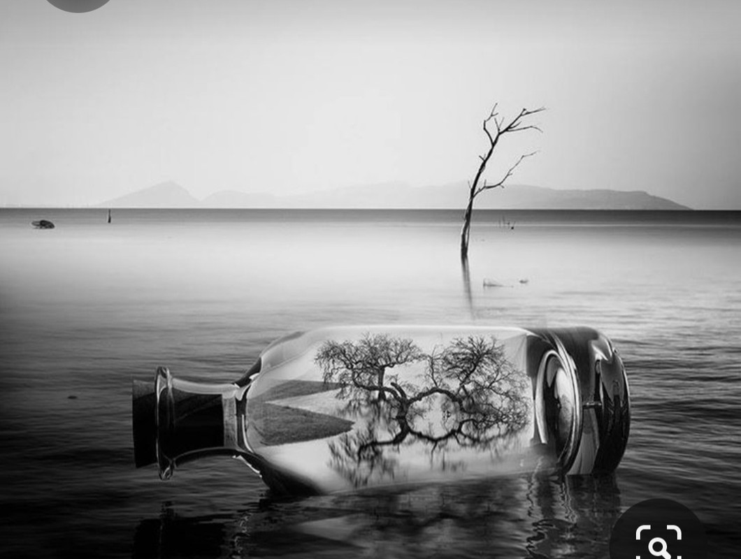 Screenshot_20230805_201731_Pinterest