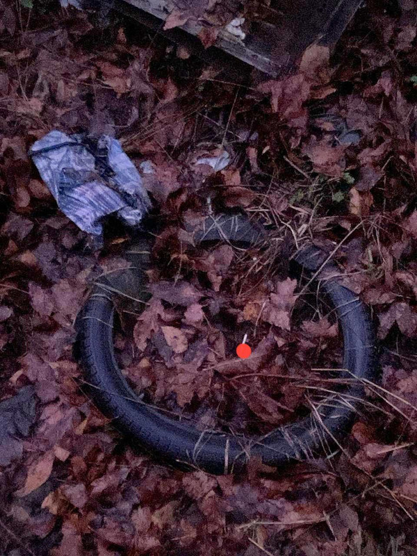 IMG 20251218 105513 427