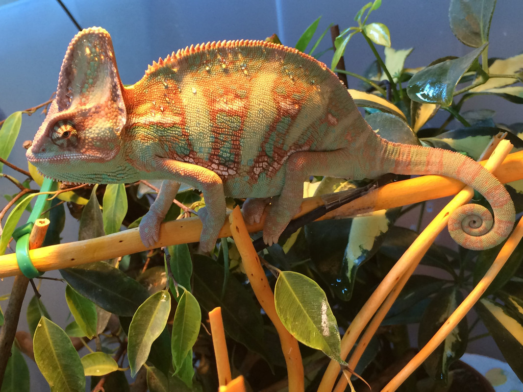 D535C3BE-C2FF-467D-905E-71947F8EC8A1