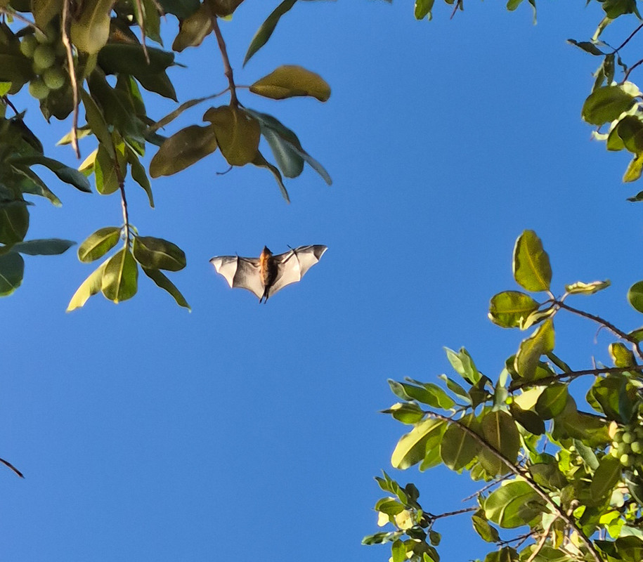 20241029_171539 (1) - Kopie