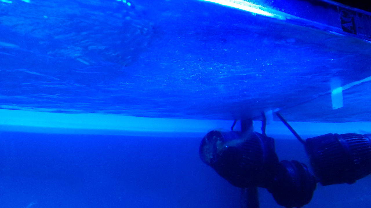 IMG_20141111_064554847(1)