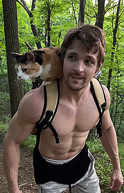 Cody-Messner.gif