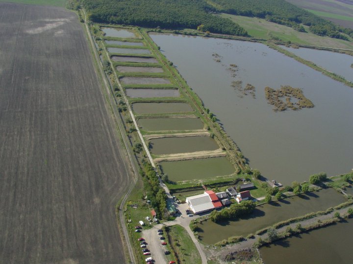 Jászkiséri halastavak 0