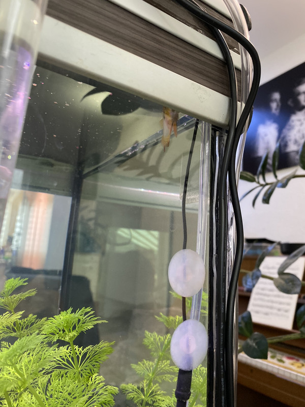 4EB0FDFF-A0D1-489E-9BA4-2282124B1DE1