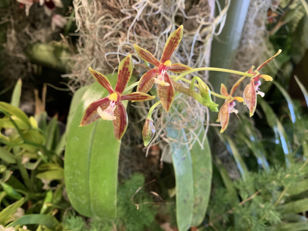 6EF18B75-9C73-43FD-9BA9-081CB3C26343