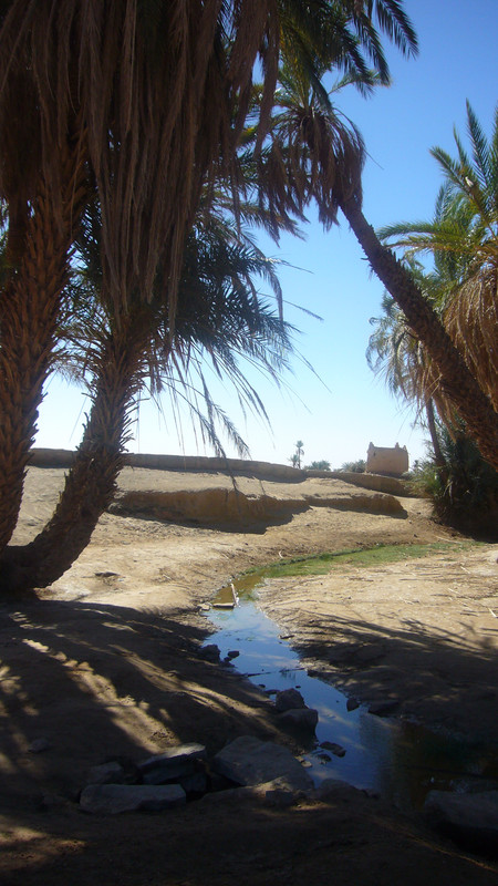 El Valle del Drâa, la gran arteria del sur de Marruecos - Blogs de Marruecos - Información viajera e histórica (28)