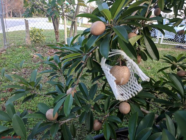 [Image: IMG-20190103-174116.jpg]