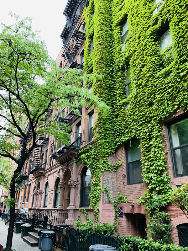 2630623A-5FFB-42A1-84E4-591862C24BF4