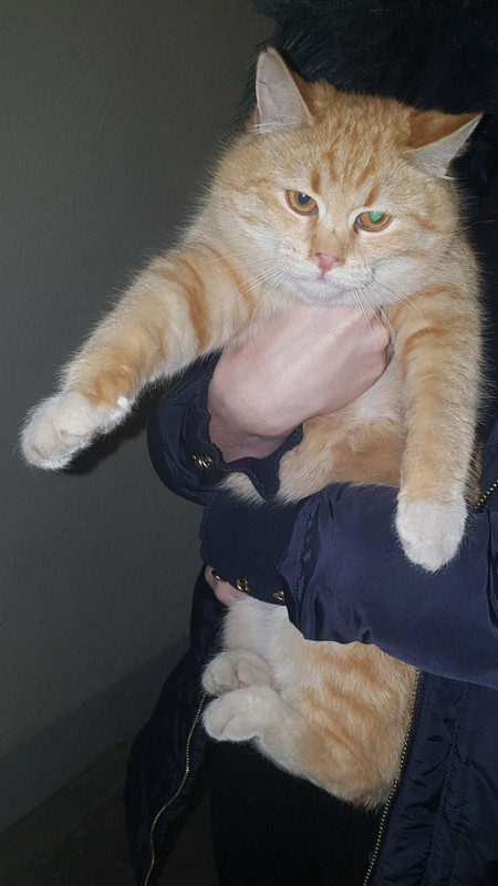 E8CD9227-53B2-4E5E-94CA-B155666C2016