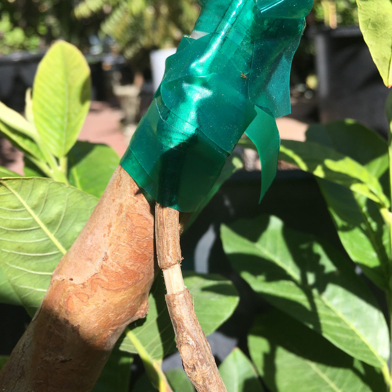 E70F6DC5-0D15-40CF-9E31-87D1C3A182DF