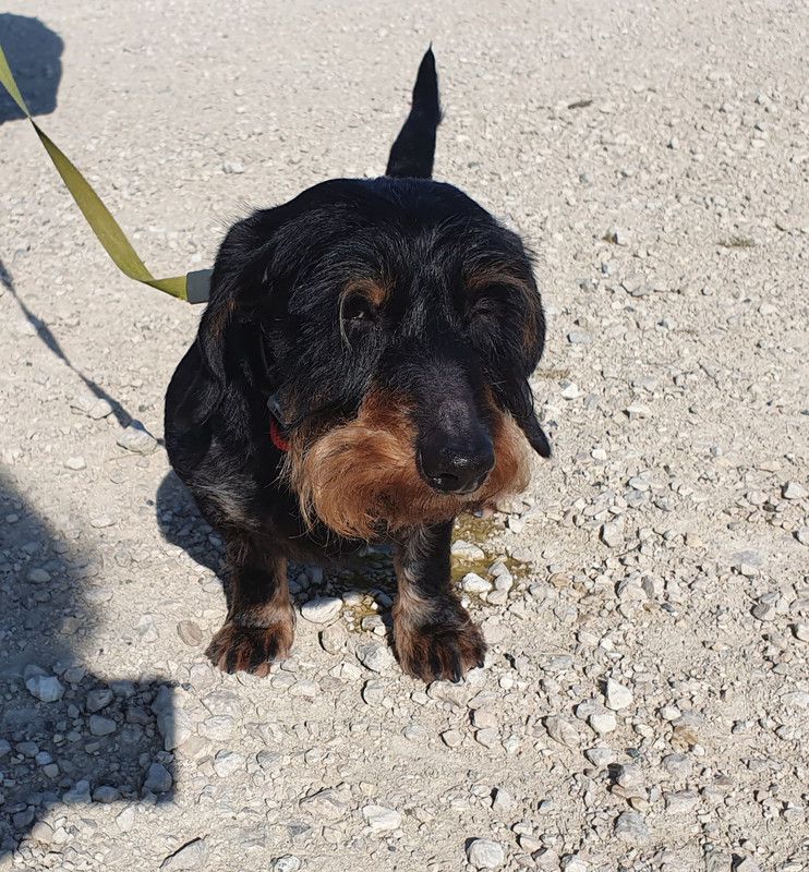 [Image: 20230707-074421.jpg]