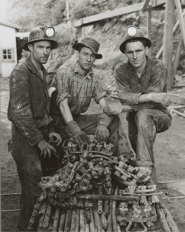 A Brief Look at the Origin of Denim in North America