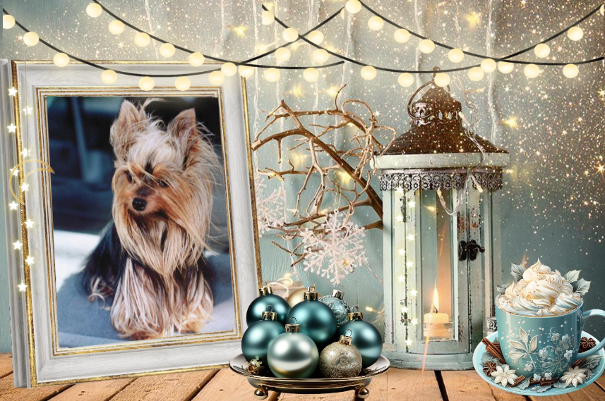 ZZZZZZZZ Voyou NOEL 1