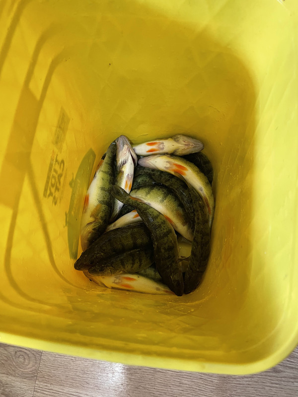 8431401B-8C15-4A4E-9F65-7E0588BE794E