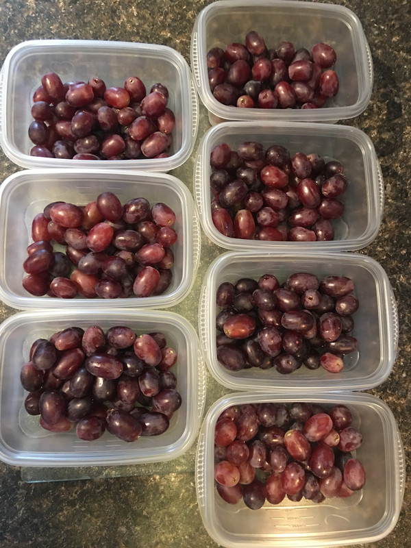 76A6F8C0-33F8-4C45-ADF1-29616E6321D4