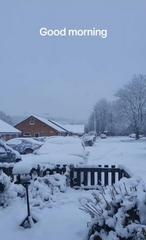 vartotojo �kelta nuotrauka