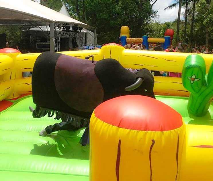 Touro Mecânico Luxo - Foto 3