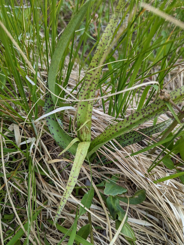 PXL_20230603_103942080