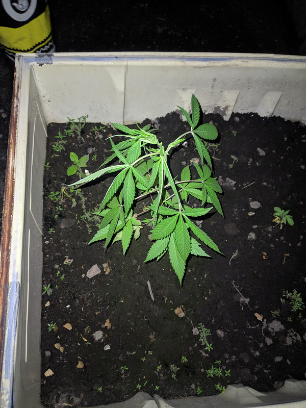 HC_20221220_192942_null