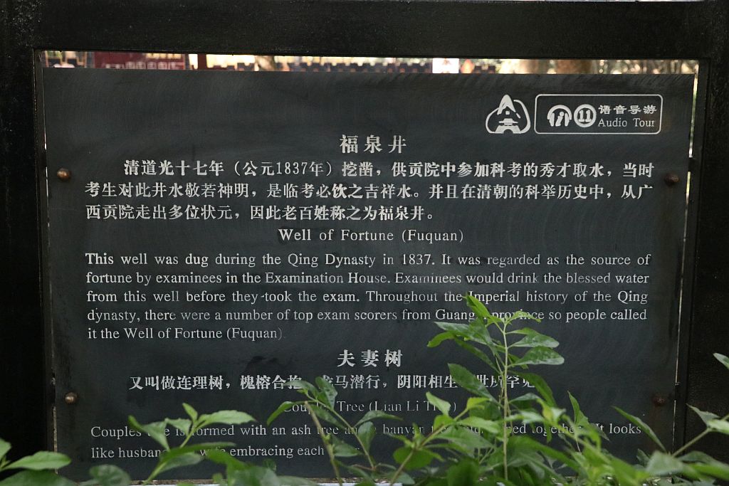 https://i.postimg.cc/XvPtG70c/IMG-2866.jpg