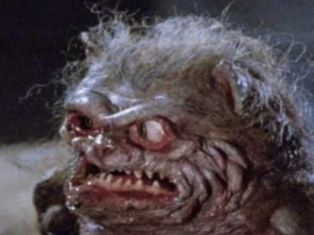 AC7B33C8-E816-4A43-8D4D-92F222892E24