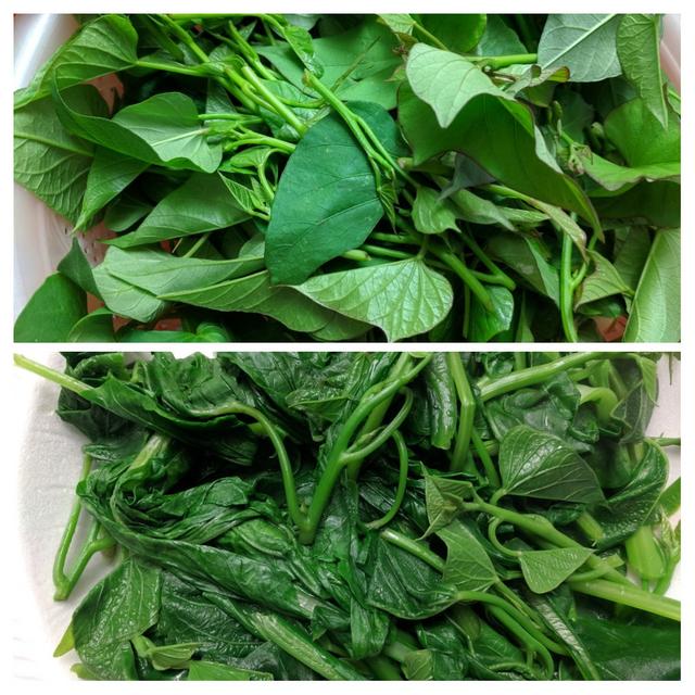 [Image: 20190502-115107-COLLAGE.jpg]