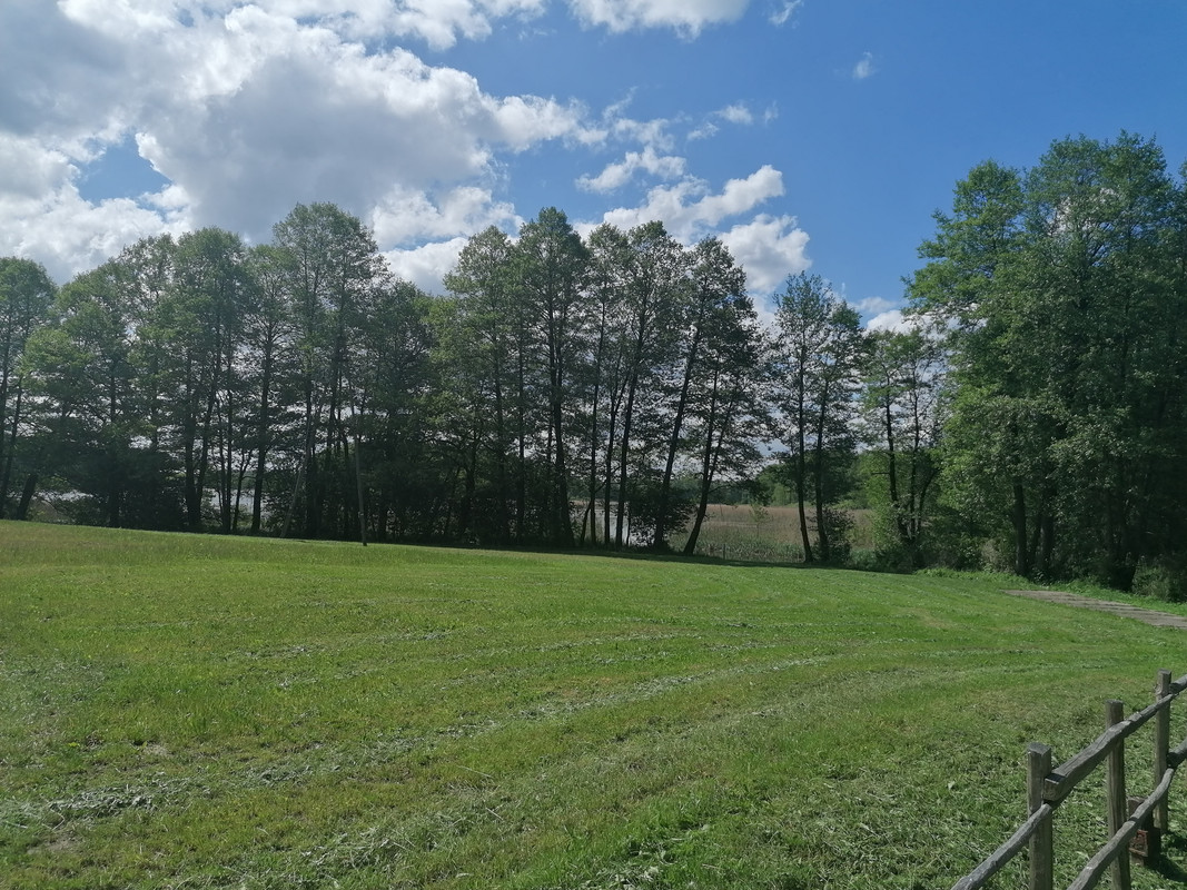 02.04 - IMG_20210531_101731 (Czesio1)