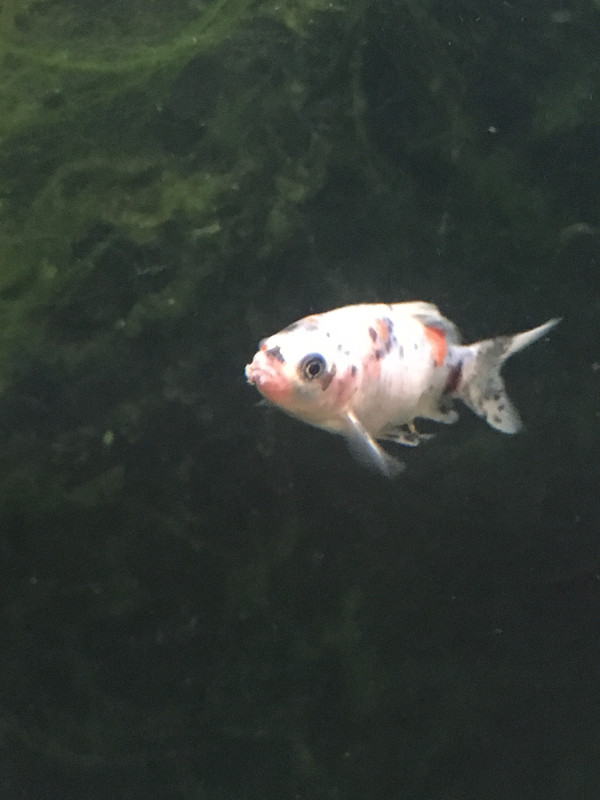 E310D3C6-92E5-4734-99B6-C141D95E1B9A