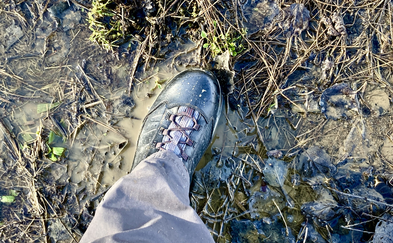 AEEF31AF-4AF0-45C1-A42B-348F9574B534