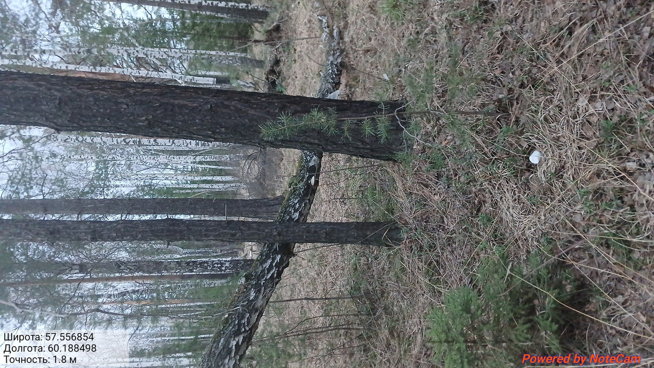 20260406 193657
