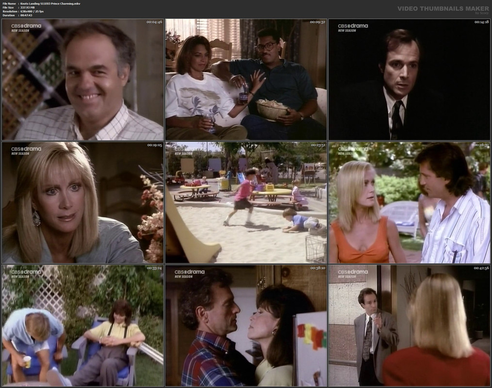 Knots Landing S11E03 Prince Charming.mkv