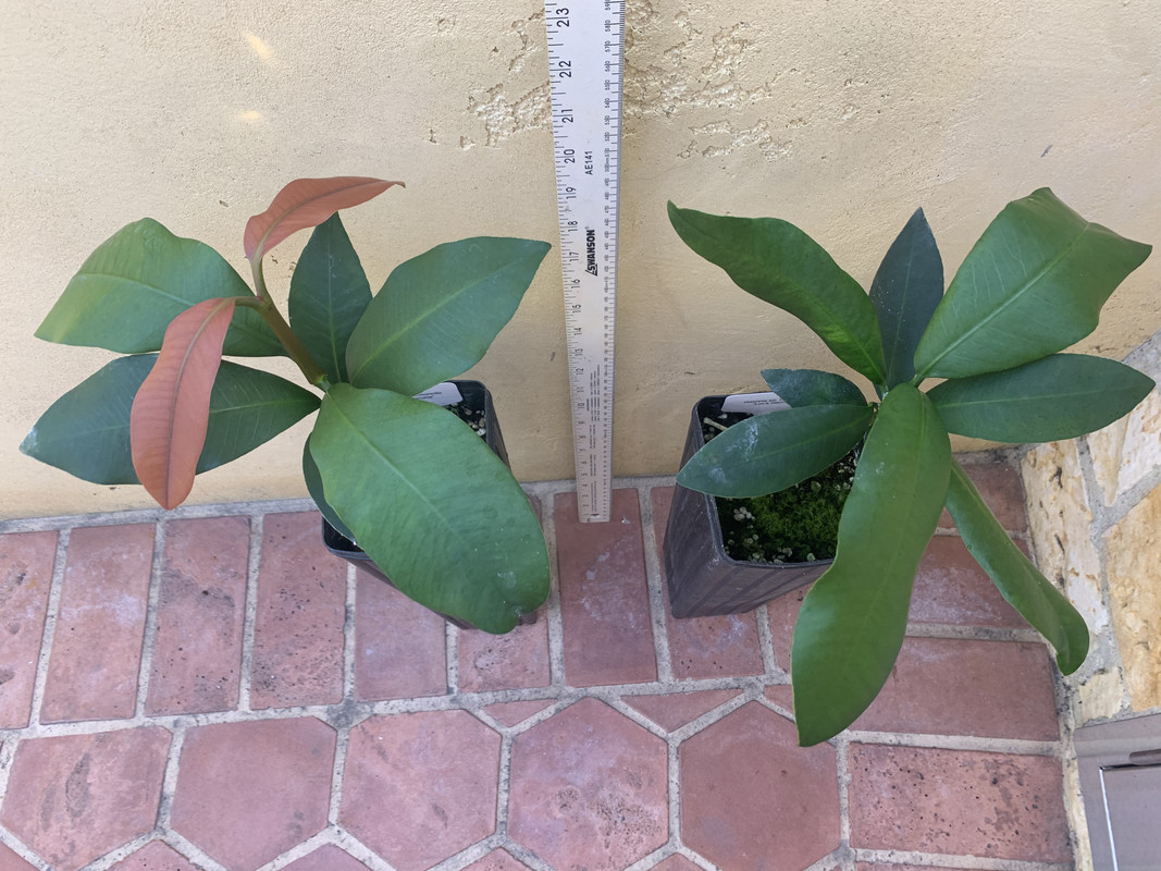 36C91F5A-8D48-47CE-A0A7-64AA39F57F96