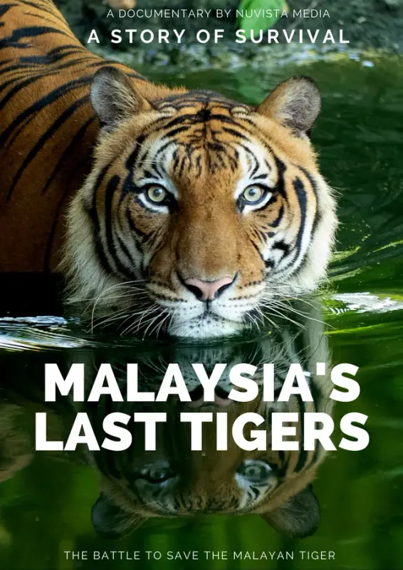 Malaysias Last Tiger ( 2020 )