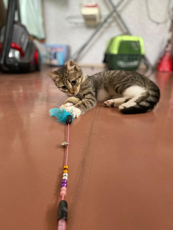 F612DCE6-026A-4528-93EC-E778BB333D7D