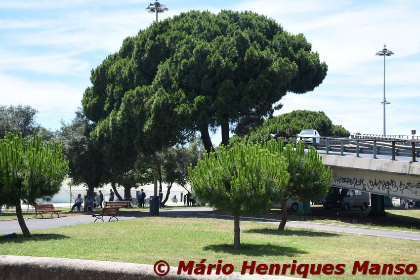 19023663_1489153277804235_4555865527832400785_o