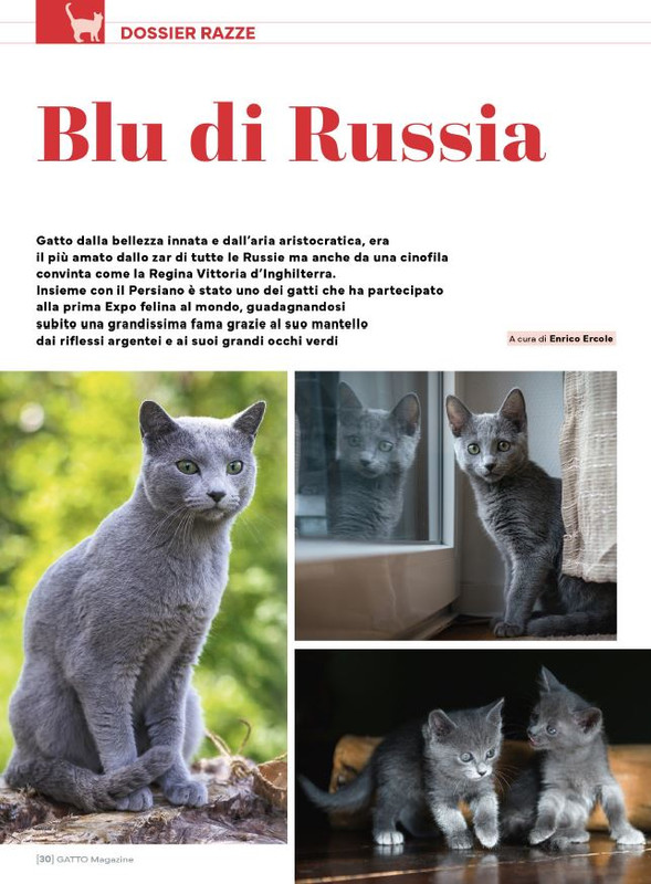 Ga Ma Giu-Lug 2025 (5)