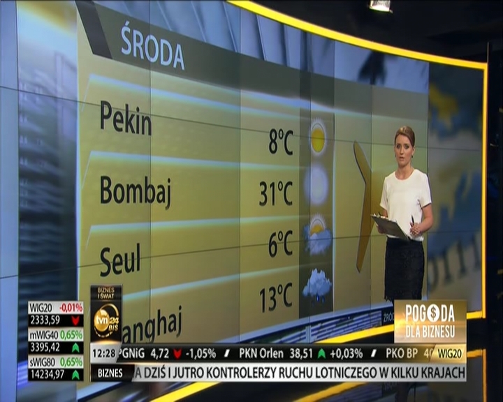 29.01.2014_annadec_tvn_bis_12