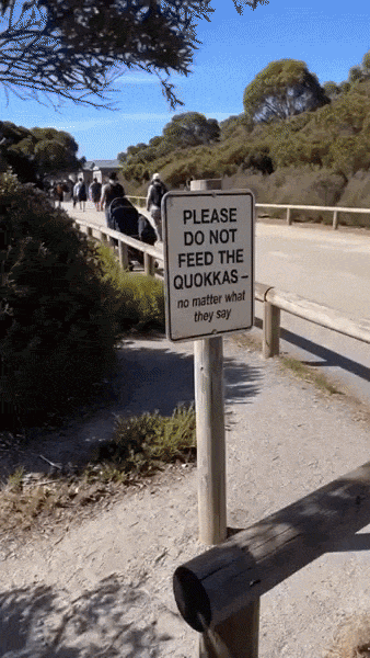 ezgif-8b040c72f5537208.gif