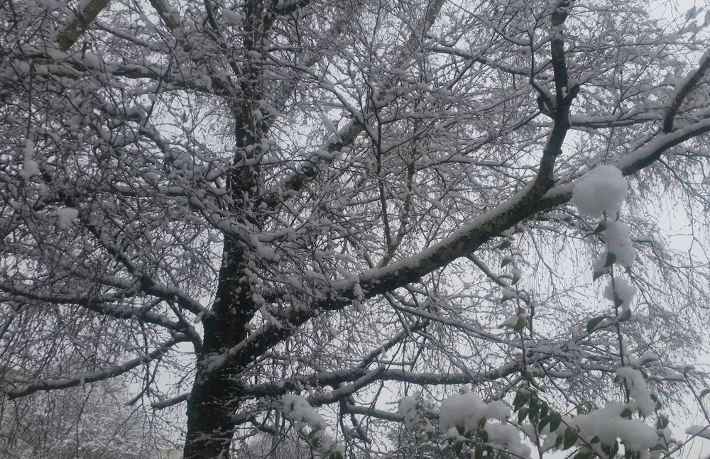 [Image: 27709681-710375766018213-7422082175066191745-o.jpg]