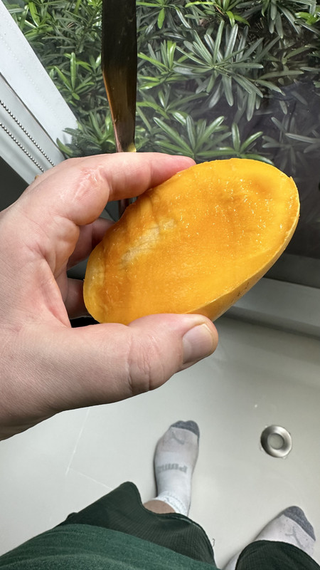 F126F941-ADCC-4D1F-8101-DA1AFC747B96