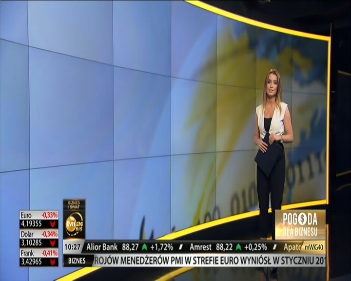 05.02.2014_annadec_tvn_bis_14