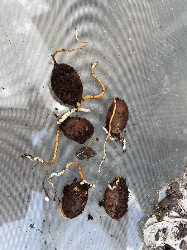 6367BC8A-D46D-434F-8D44-64317E9C6F45