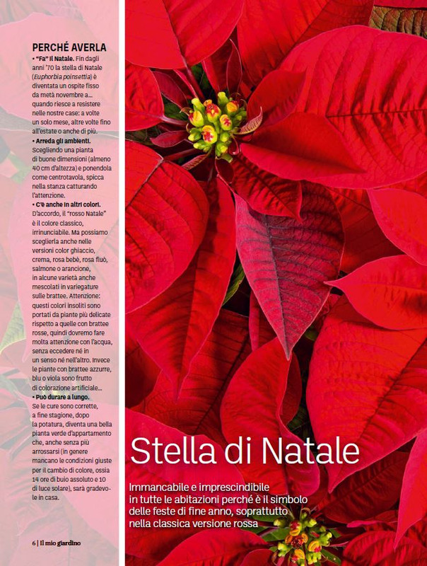 Il Mio Giar Dic 2023-Gen 2024 (1)