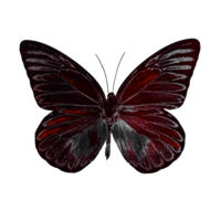 output-onlinepngtools1-ezgif-com-resize.png