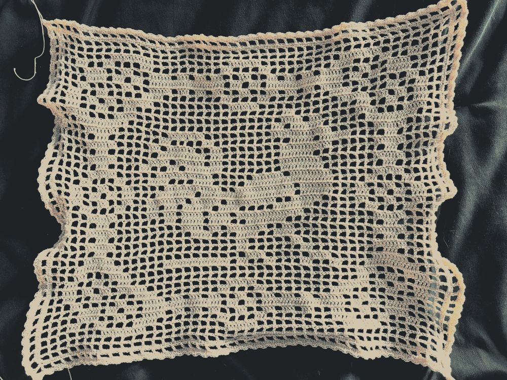 a filet crochet image of a chicken