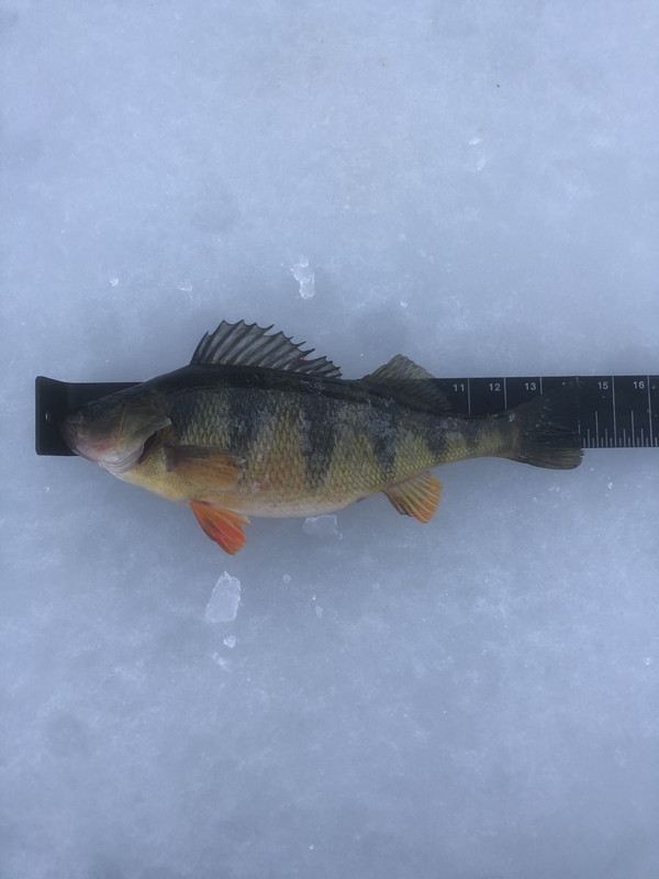 1D55A090-8B95-435B-8E70-64DFFB540C03