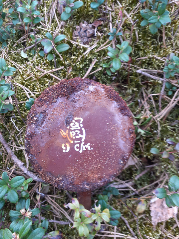 20210514_101010 – kopio