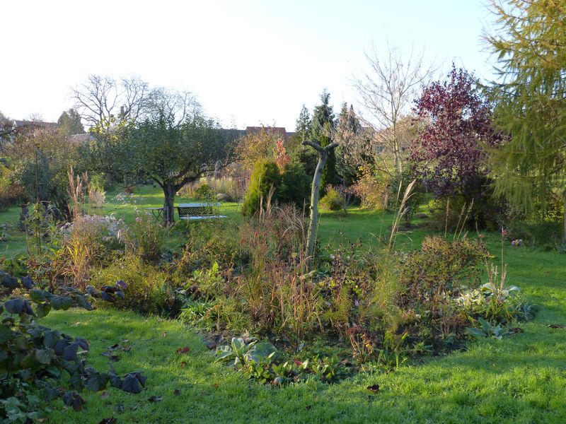 2014-11-07 Gräserbeet 2