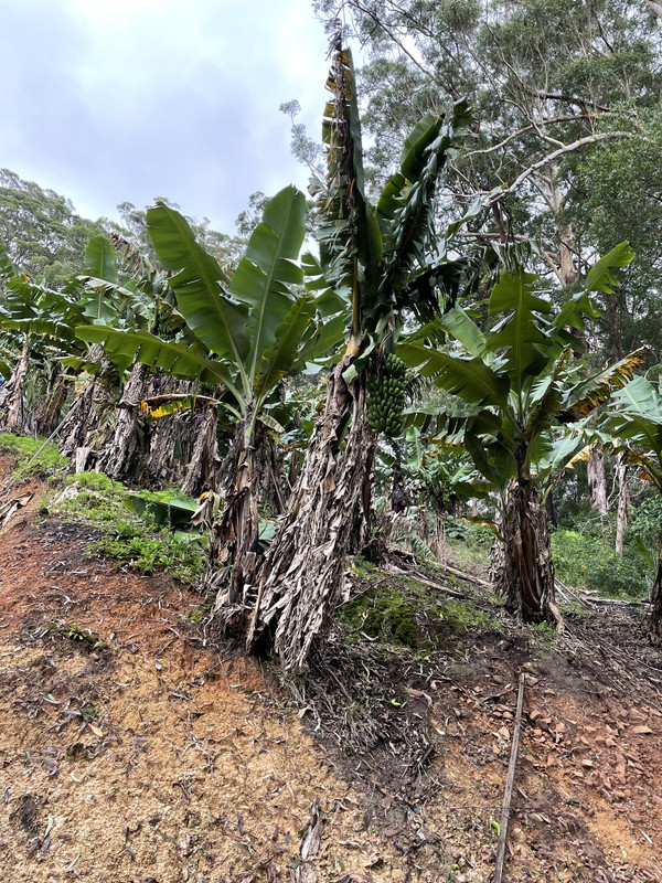 65D56E10-7E48-418C-B688-6BD86E1D763E