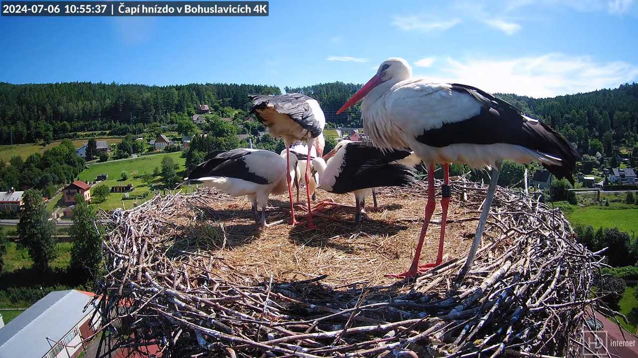Tiešraidē no uzņēmuma KARA stārķa skursteņa Bohuslavicē pie Trutnovas 12-22-23 screenshot